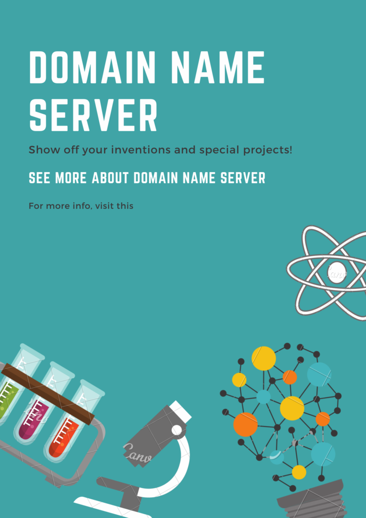 Domain Name Server (DNS))
