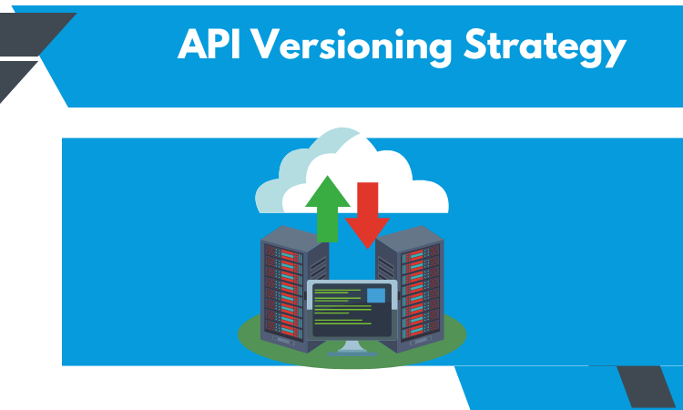 What is API Versioning Strategy?